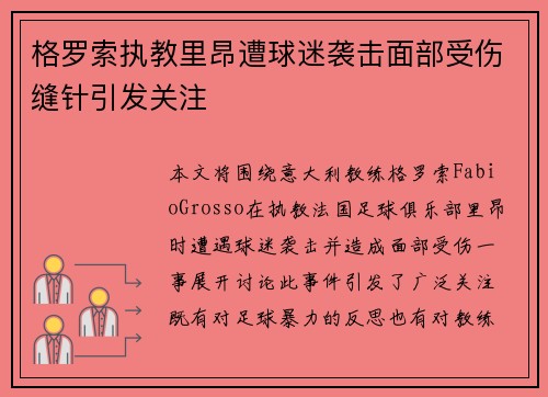 格罗索执教里昂遭球迷袭击面部受伤缝针引发关注